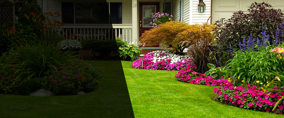 Pacific Landscapers